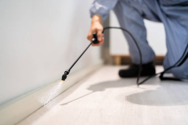 Licensed Pest Control service in Pine Ridge, PA - Show Me Pest Control