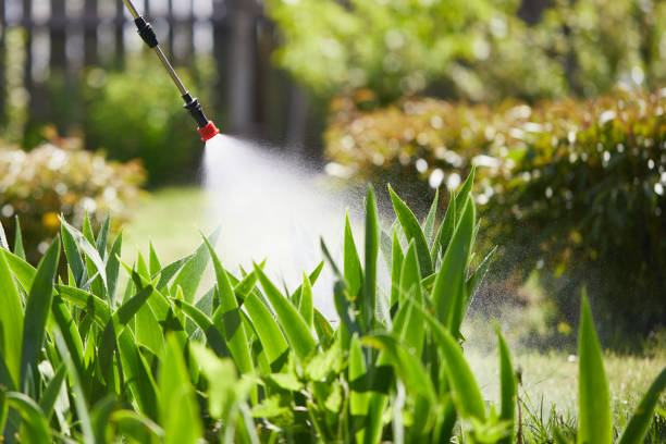 24/7 Emergency Mosquito Control experts in Pine Ridge, PA